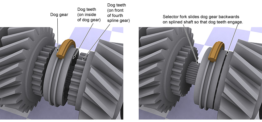 dog gear explanation